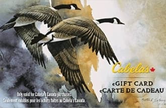 Cabela's
