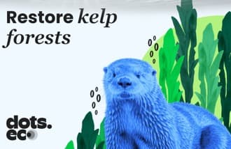 Dots.eco - Restore Kelp Forests US