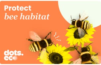 Dots.eco - Protect bee habitat EUR Gift Card