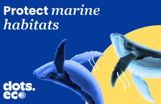 Dots.eco - Protect 10 sqm of Marine Habitat EUR Gift Card