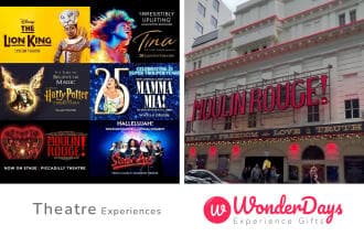 Theatre Experience by WonderDays