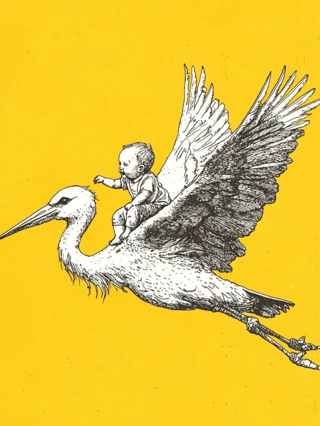 Stork 4 Card