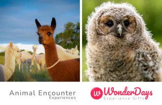 Animals Encounter Experience by WonderDays