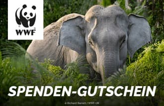WWF