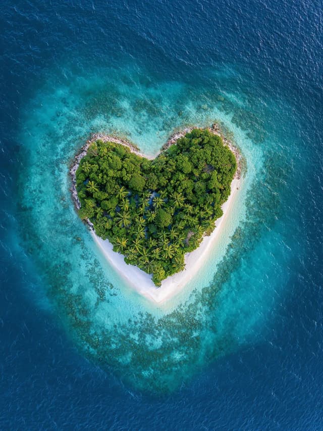 Flowers Love Island Heart Card