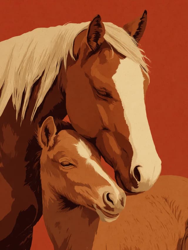 Horse Mother and Baby Card